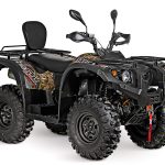 Striker 700 EFI